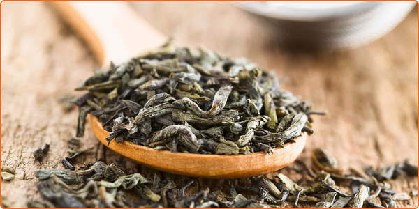 Green Tea Extract