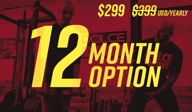 12 MONTH OPTION