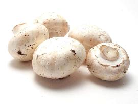 white-mushrooms