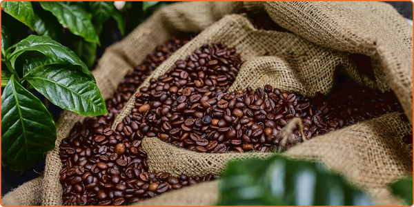 Natural Caffeine