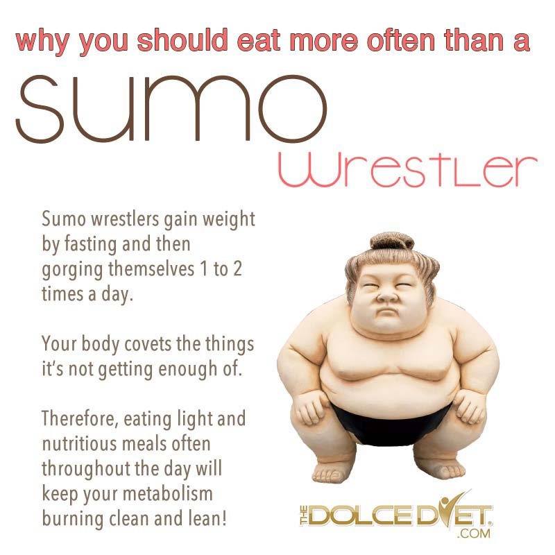 Mike Dolce Why You Should Eat More Often Than A Sumo Wrestler The Dolce Diet