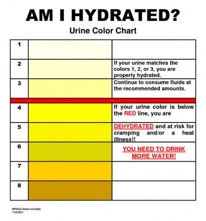 Kidney Failure Urine Color Chart