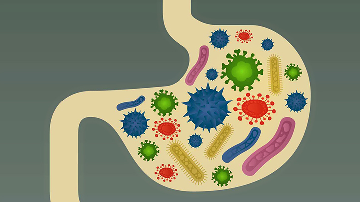 4 Common Conditions Your Gut Bacteria May Help With | The Dolce Diet